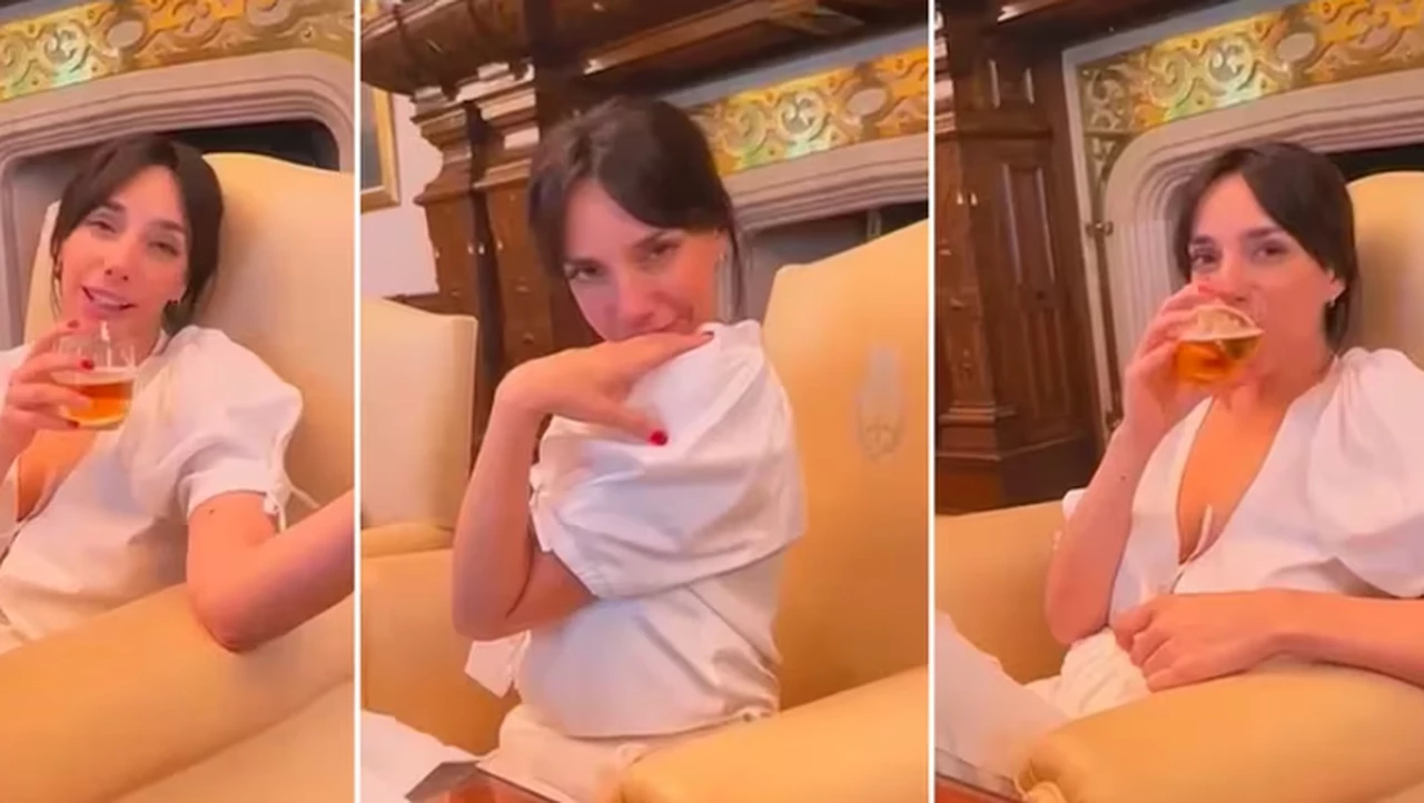 El controvertido video de Alberto Fernández y Tamara Pettinato consumiendo alcohol en la oficina presidencial
